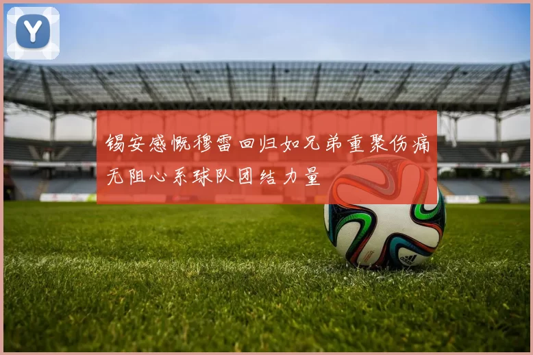 锡安感慨穆雷回归如兄弟重聚伤痛无阻心系球队团结力量