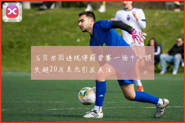 戈贝尔因违规停薪禁赛一场个人损失超20万美元引发关注